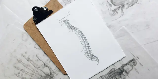 Quaderno degli appunti con disegno di una colonna vertebrale